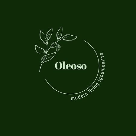 Oleoso Apartment Igoumenitsa Exterior foto